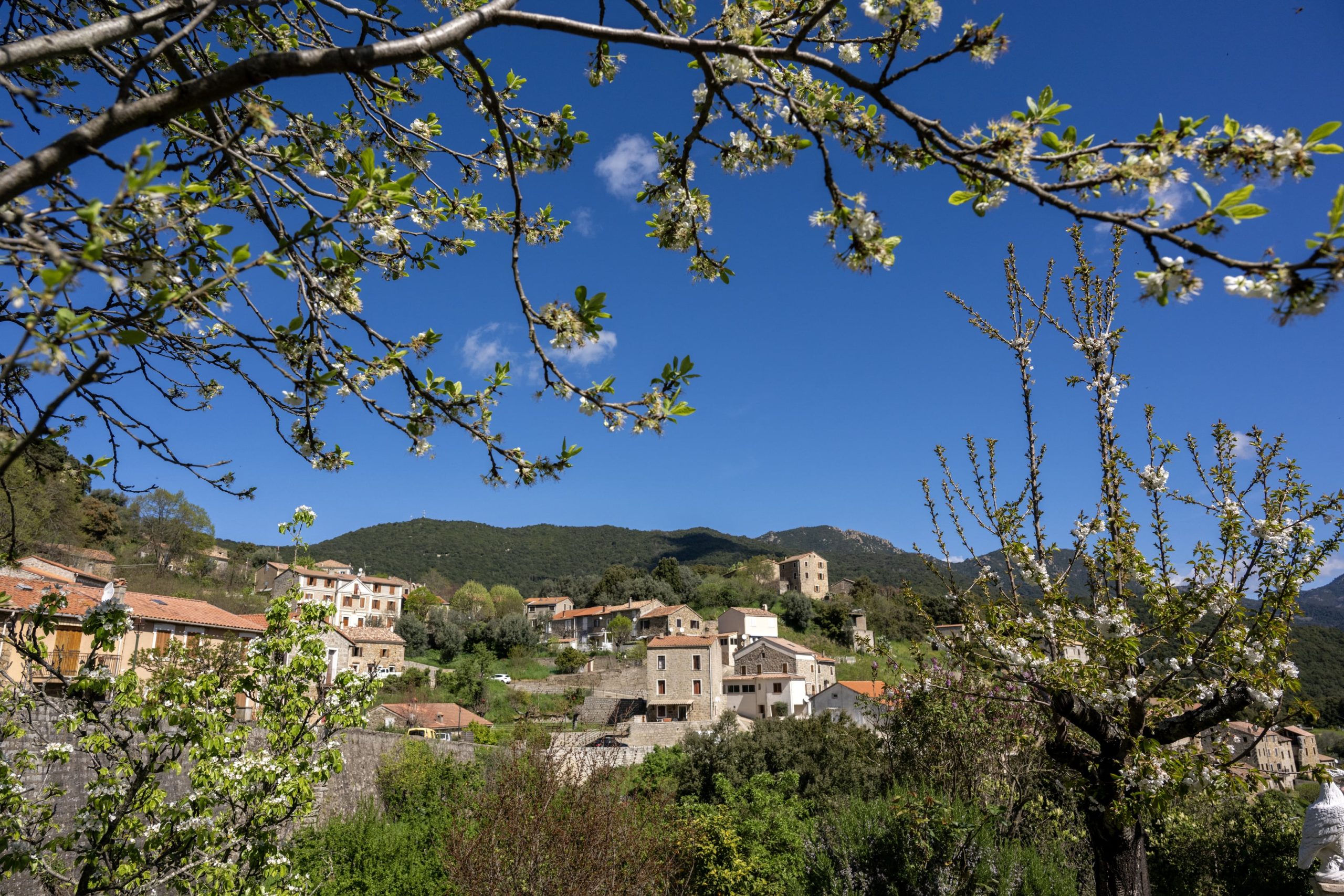 Albitreccia Communaut De Communes De La Pieve De L Ornano Et Du Taravo Albitreccia Communaut De Communes De La Pieve De L Ornano Et Du Taravo
